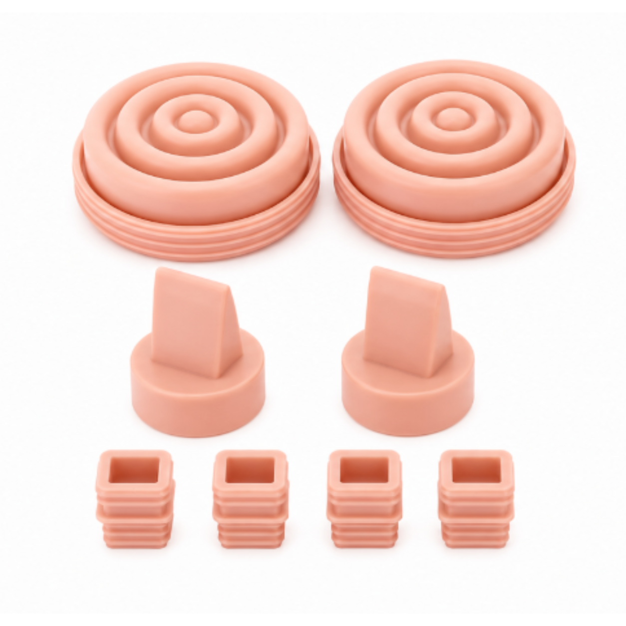 Valve & Diaphragm Replacement Kit